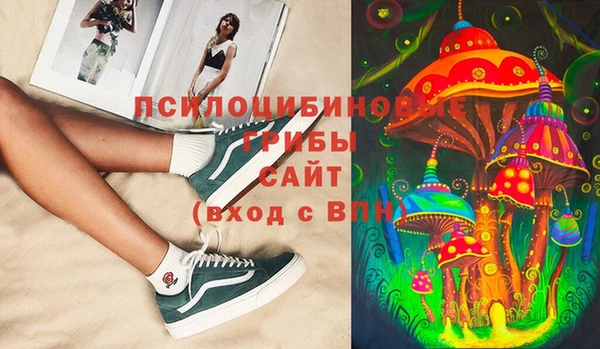трава Медногорск