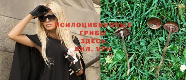кокаин Каменка
