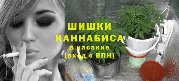 мдпв Мегион