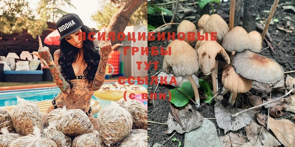 трава Медногорск
