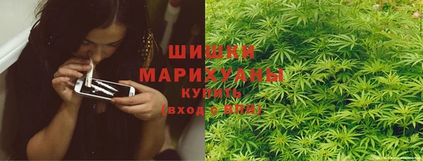 трава Абаза