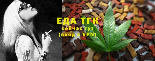тгк Инсар