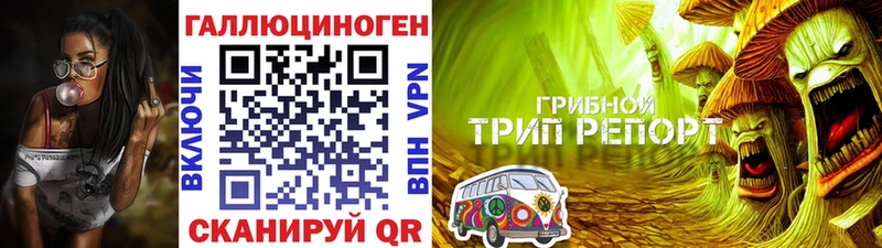 Галлюциногенные грибы мицелий  мега   Отрадный  наркошоп 
